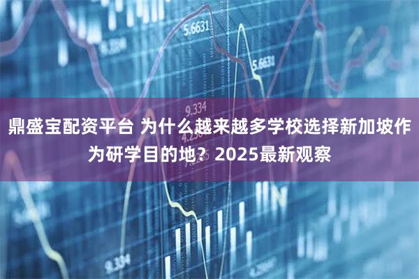 鼎盛宝配资平台 为什么越来越多学校选择新加坡作为研学目的地？2025最新观察