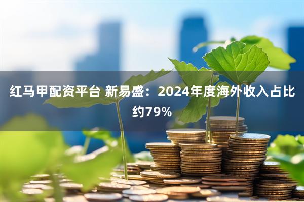红马甲配资平台 新易盛：2024年度海外收入占比约79%