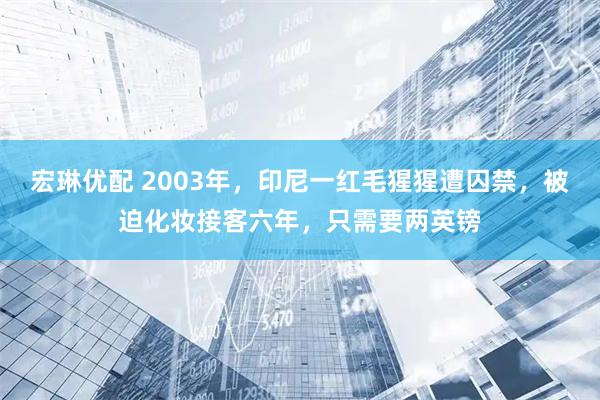宏琳优配 2003年，印尼一红毛猩猩遭囚禁，被迫化妆接客六年，只需要两英镑