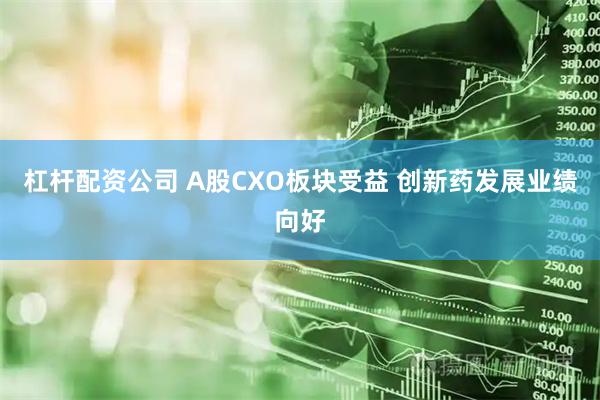 杠杆配资公司 A股CXO板块受益 创新药发展业绩向好