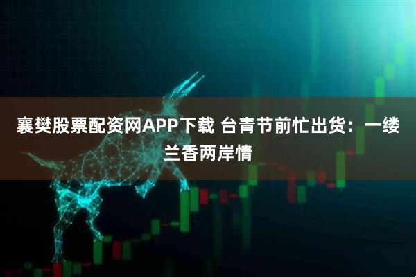襄樊股票配资网APP下载 台青节前忙出货：一缕兰香两岸情