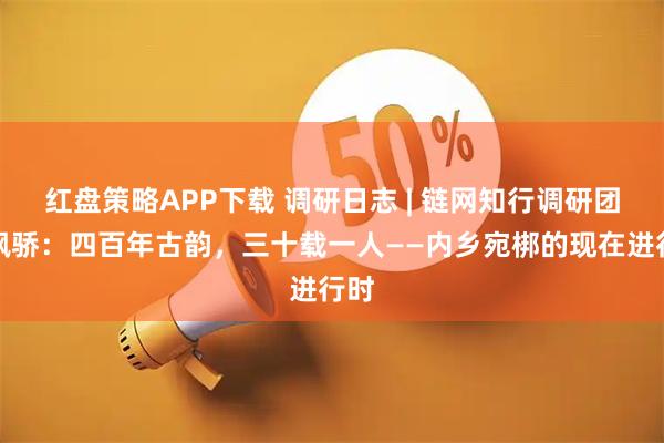 红盘策略APP下载 调研日志 | 链网知行调研团秦枫骄：四百年古韵，三十载一人——内乡宛梆的现在进行时