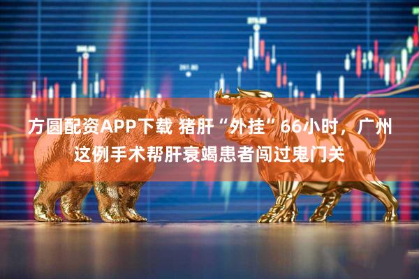 方圆配资APP下载 猪肝“外挂”66小时，广州这例手术帮肝衰竭患者闯过鬼门关